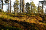 Storhaug