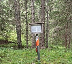 Sandumsvangen