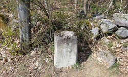 Bystein 30