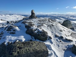 Slåttehallnuten