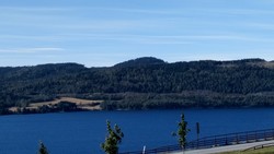 Ryneskollen
