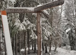 Lustigknopp