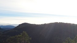 Grååsen