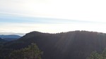 Grååsen