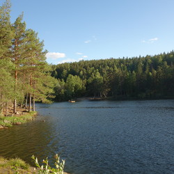 Åletjern