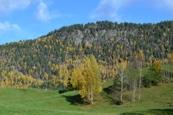 Eikeskar