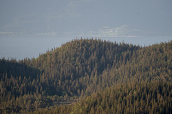 Litlkongensåsen