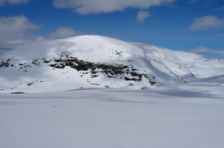 Mjogsjøhøe