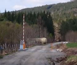 Nysetervegen, kortautomat
