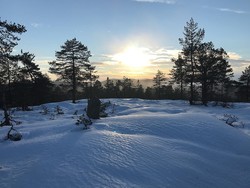 Snaukollen