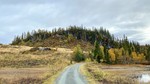 Topptjønnfjellet