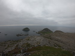Gårdsnyken