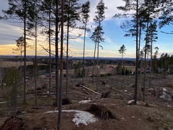 Svelle utkikkspunkt nord
