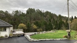 Ospehaugen