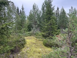 Vestergyllen