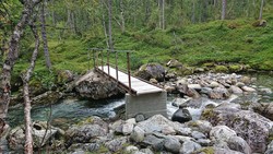 Mysedøla bru