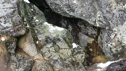 Tjuvenborgen