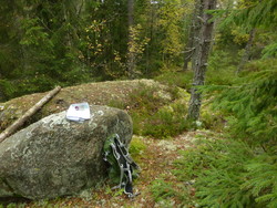 Møllerenghagan