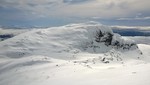 Fongskaftet