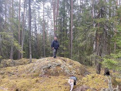 Svarthushaugen