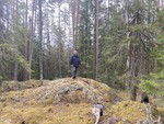 Svarthushaugen