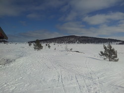 Brennhovda