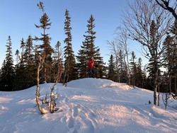 Nordfjellkammen