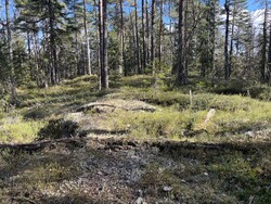 Brenningsåsen