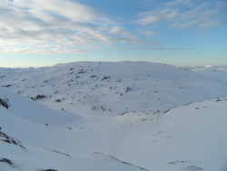 Husaheia
