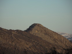 Hartevassnibba