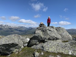 Grønenuten