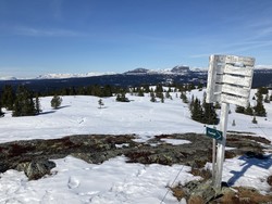 Tveitastølfjellet trig.punkt