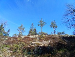 Svarttjennsberget Sørvest