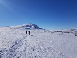 Blåhammarkläppen