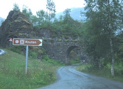 Knuten