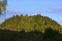 Rugtvedtkollen