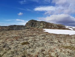 Nekkjåskarvan
