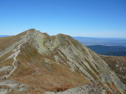 Brestová