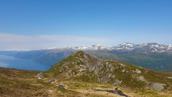 Rindarnuten