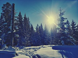 Finnkollen i Eidsvoll