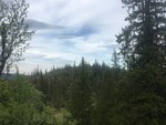 Fosskamman