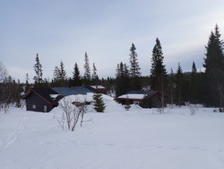 Bellingstua
