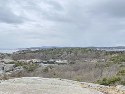 Ertsvikberget