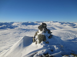 Tyrvelinuten