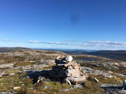 Tørrisheia