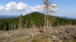 Spelkampen