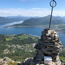 Stavekollen