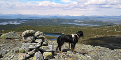 Rundemellen nord