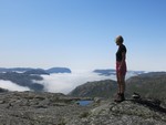 Skorvaknuten