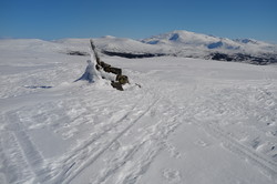 Høgfjellet